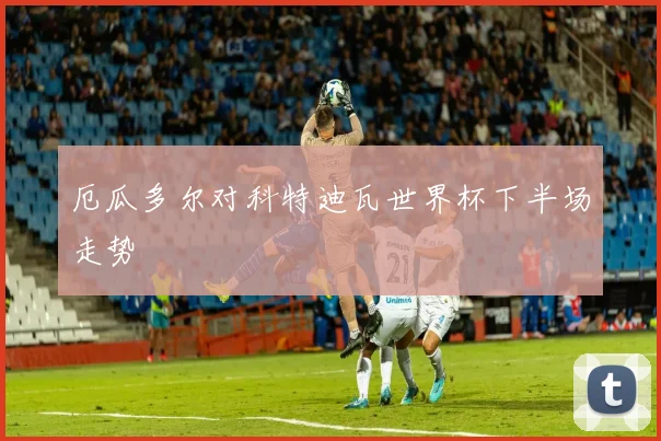 厄瓜多尔对科特迪瓦世界杯下半场走势