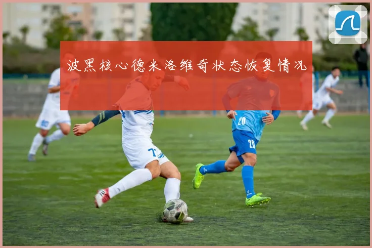 波黑核心德米洛维奇状态恢复情况