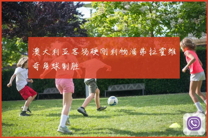 澳大利亚客场硬刚利物浦弗拉霍维奇角球制胜
