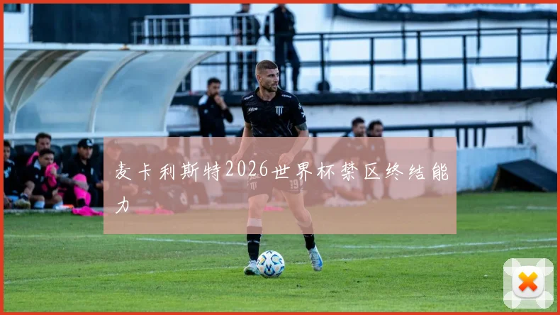 麦卡利斯特2026世界杯禁区终结能力