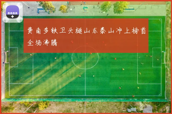 费南多铁卫头槌山东泰山冲上榜首全场沸腾