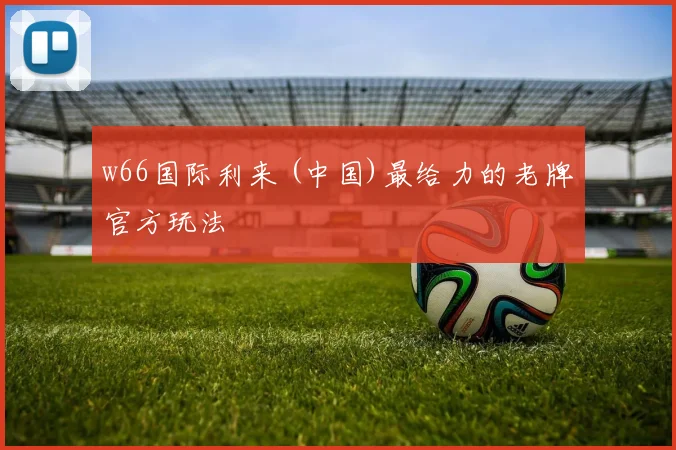 w66国际利来 (中国)最给力的老牌官方玩法