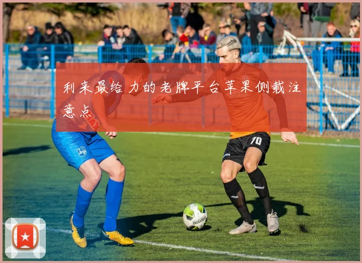 利来最给力的老牌平台苹果侧载注意点
