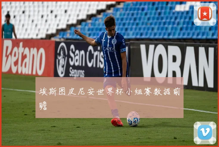 埃斯图皮尼安世界杯小组赛数据前瞻
